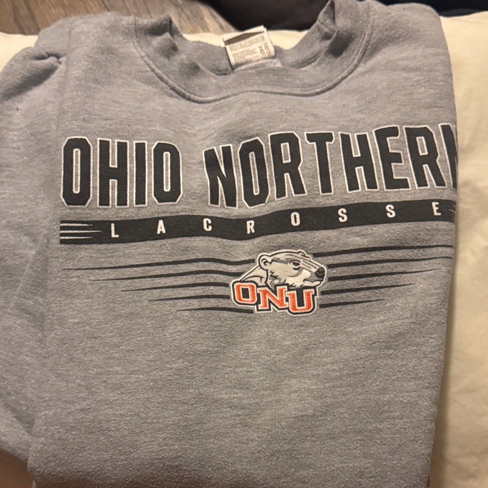 Champion Gray Sweatshirt